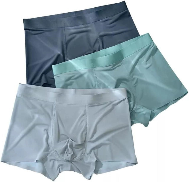 Men's Ice Silk Briefs Boxers (Pack of 2)