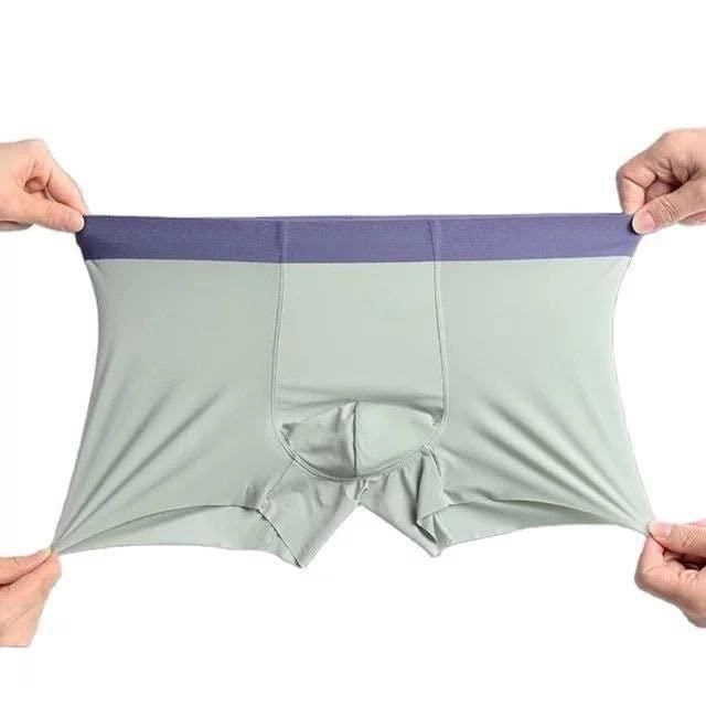 Men's Ice Silk Briefs Boxers (Pack of 2)